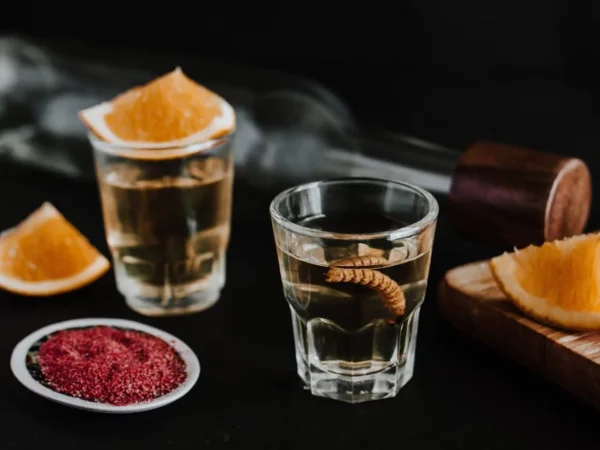mezcal-gusanos